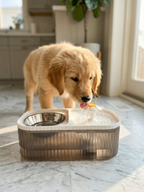 PetPro® Pack Brush & Feeder