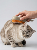PetPro® Brush (Pack de 2)